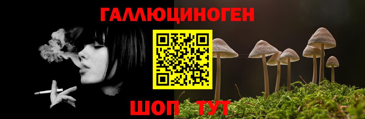 Галлюциногенные грибы Psilocybe  Вход с VPN  цена наркотик  Тихвин  Псилоцибиновые грибы Magic Shrooms 